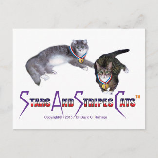 Cartes postales StarsAndStripesCats