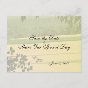 Cartes postales "Summer Fields Save the Date"
