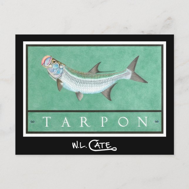 Cartes postales Tarpon (Devant)