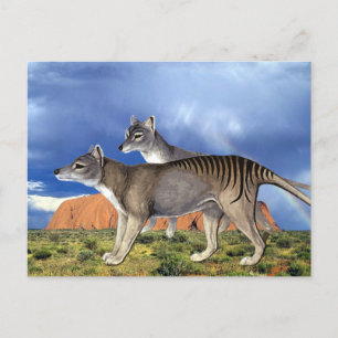 Cartes postales Tigre de Tasmanie