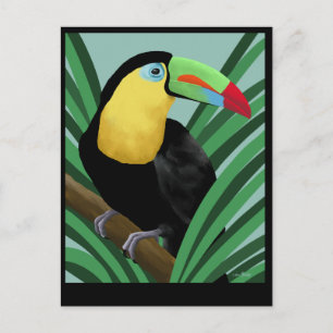 Cartes postales Toucan Art