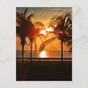 CARTES POSTALES TROPICAL BEACH SUNSET