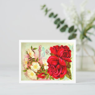 Cartes postales vintage Seed Packet.