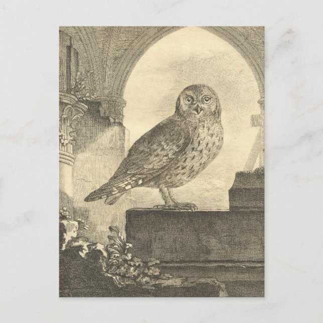 Cartes postales Vintages éffrayantes de la Chouett (Devant)
