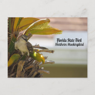 Cartes postfranchissement - Florida State Bird
