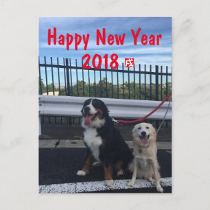 CARTES POUR FÊTES ANNUELLES
