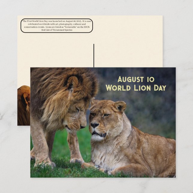 Cartes Pour Fêtes Annuelles 10 août, Journée mondiale des lions (Devant / Derrière)