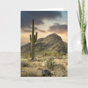 Cartes Pour Fêtes Annuelles 2767-Arizona Paysage du désert avec rayons du sole