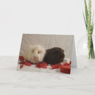 Cartes Pour Fêtes Annuelles 2 Valentines de cochon de Guinée