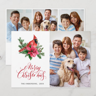Cartes Pour Fêtes Annuelles 4 PHOTO Poinsettia Cardinal Rouge voeux de Noël