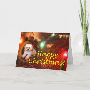 Cartes Pour Fêtes Annuelles A Christmas Wish