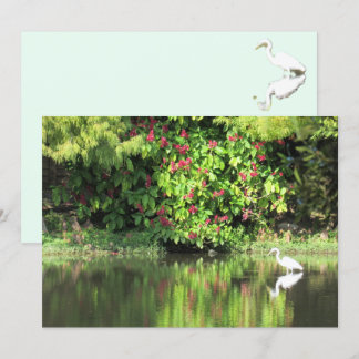 Cartes Pour Fêtes Annuelles  A Great Egret Fishing in the Swamp