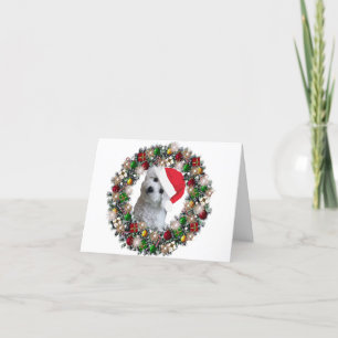 Cartes Pour Fêtes Annuelles À Noël - Bichon Frise