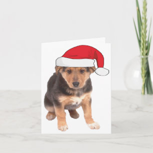 Cartes Pour Fêtes Annuelles A Noël - Chiot de Berger Allemand