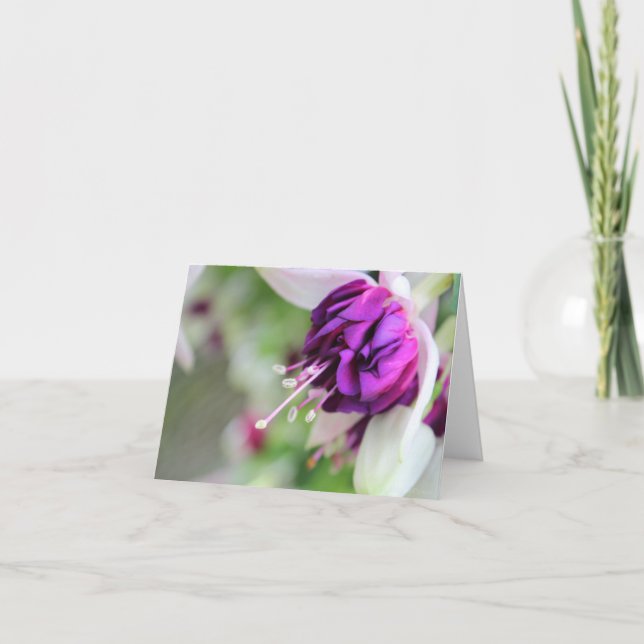 Cartes Pour Fêtes Annuelles À peine fuchsia pourpre II (Devant)