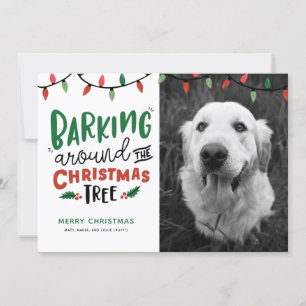 Cartes Pour Fêtes Annuelles Aboyer autour de l'arbre de Noël Chien Noël