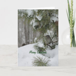 Cartes Pour Fêtes Annuelles Abri de Noël d'oiseaux