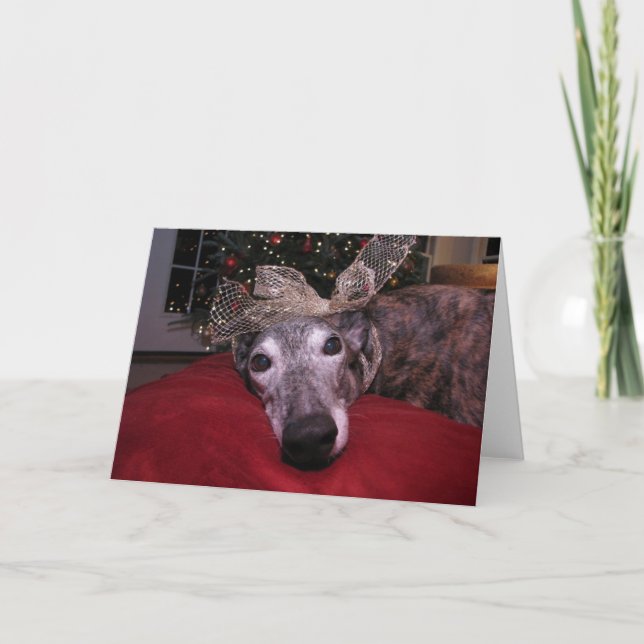 Cartes Pour Fêtes Annuelles Acclamation de lévrier de Noël (Devant)