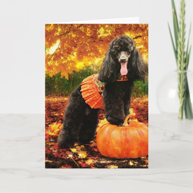 Cartes Pour Fêtes Annuelles Action de grâce d'automne - Gidget - Poodle (Devant)