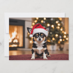 Cartes Pour Fêtes Annuelles Adorable Chihuahua noir avec chapeau de Père Noël