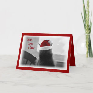 Cartes Pour Fêtes Annuelles Adorable Noël Kitten