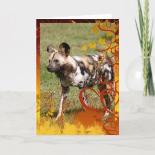 Cartes Pour Fêtes Annuelles african-wild-dog-016