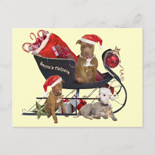 Cartes Pour Fêtes Annuelles Aides de Pitbill Terrier Père Noël (Devant)