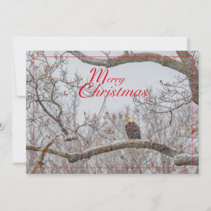 Cartes Pour Fêtes Annuelles Aigle Dans La Tempête De Neige