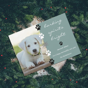 Cartes Pour Fêtes Annuelles Aiguille Spirits Bright Puppy Chien Photo
