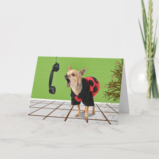 Cartes Pour Fêtes Annuelles aiguilles de pin (Devant)