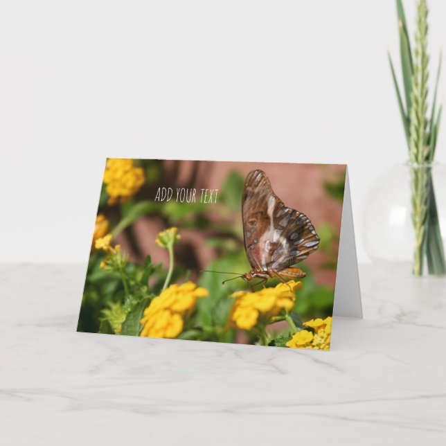 Cartes Pour Fêtes Annuelles Ailes des papillons - Chiens et papillons (Devant)