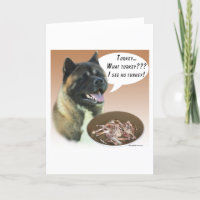 Akita Turquie