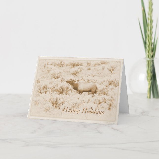 Cartes Pour Fêtes Annuelles Albumen Bugling Bull Elk Custom Happy Holidays (Devant)