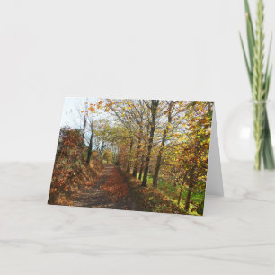 Cartes Pour Fêtes Annuelles allée de Jersey en automne
