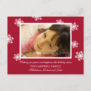 Cartes Pour Fêtes Annuelles Amaryllis Snowflakes : Photo de Christma Postcard