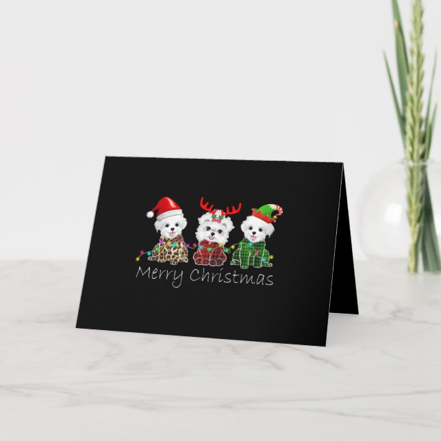 Cartes Pour Fêtes Annuelles Amateur de Chien | Joyeux Noël Maltese (Devant)