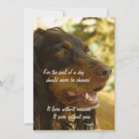 Âme d'un chien