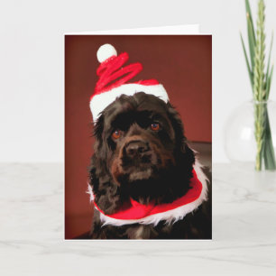 Cartes Pour Fêtes Annuelles American Cocker Spaniel Christmas Card