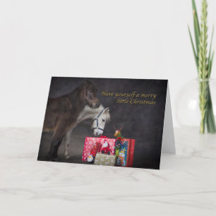 Cartes Pour Fêtes Annuelles American Shetlands opening their Christmas