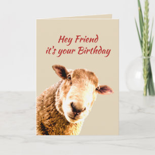 Cartes Pour Fêtes Annuelles Ami Anniversaire Funny Sheep Animal Humour