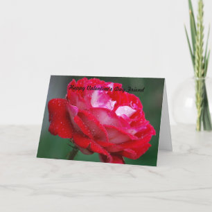 Cartes Pour Fêtes Annuelles Ami Heureuse Sainte-Valentin