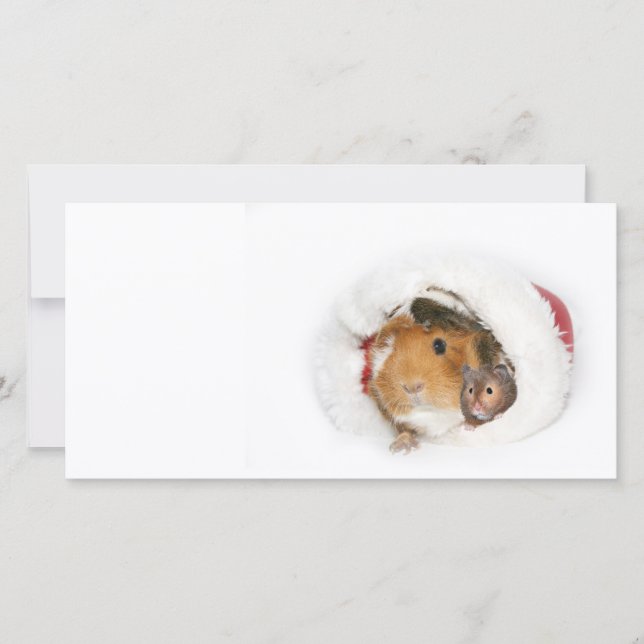Cartes Pour Fêtes Annuelles Amis de Noël (Devant)