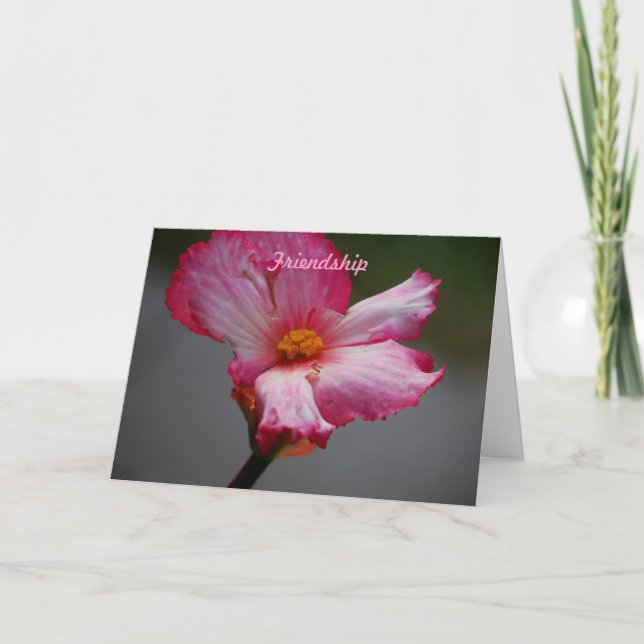 Cartes Pour Fêtes Annuelles Amitié (Devant)