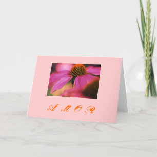 Cartes Pour Fêtes Annuelles "Amor de l'echinacée y "