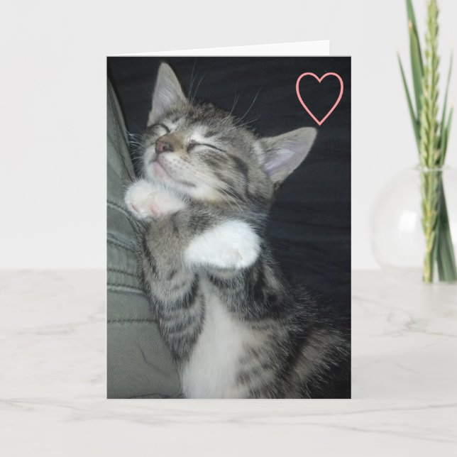 Cartes Pour Fêtes Annuelles Amour de chaton (Devant)
