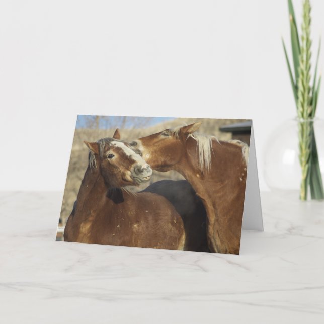 Cartes Pour Fêtes Annuelles Amour de cheval (Devant)