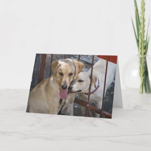 Cartes Pour Fêtes Annuelles Amour de chiot - maximum et Mlle Kitty (Devant)