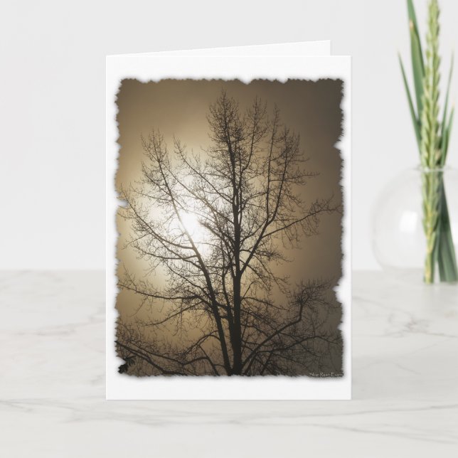 CARTES POUR FÊTES ANNUELLES AMOUR DE LA NATURE (Devant)