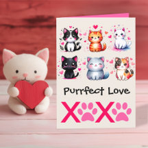 Amour Parfait Chat Mignon Thème de la Saint-Valent