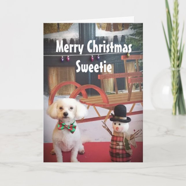 CARTES POUR FÊTES ANNUELLES AMOUR PUPPY NAUGHTY OU NICE À NOËL (Devant)